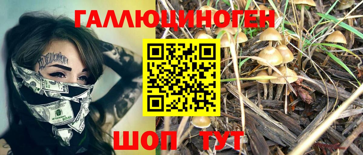 Галлюциногенные грибы Psilocybine cubensis  Вход с VPN  Новокубанск 