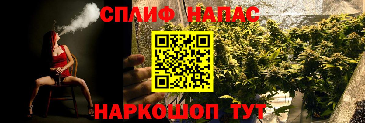 Канабис план Новокубанск